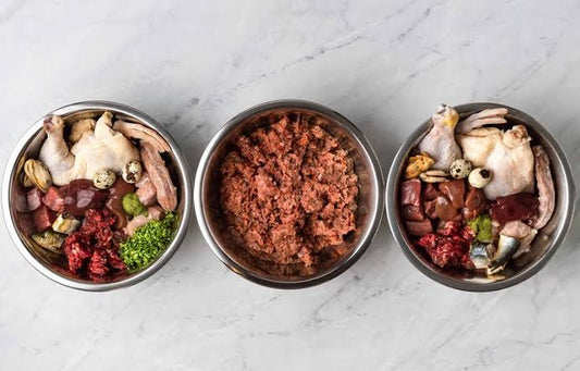 Customized Raw Diet Plan